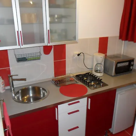 Calea Victoriei Apartment Bucharest