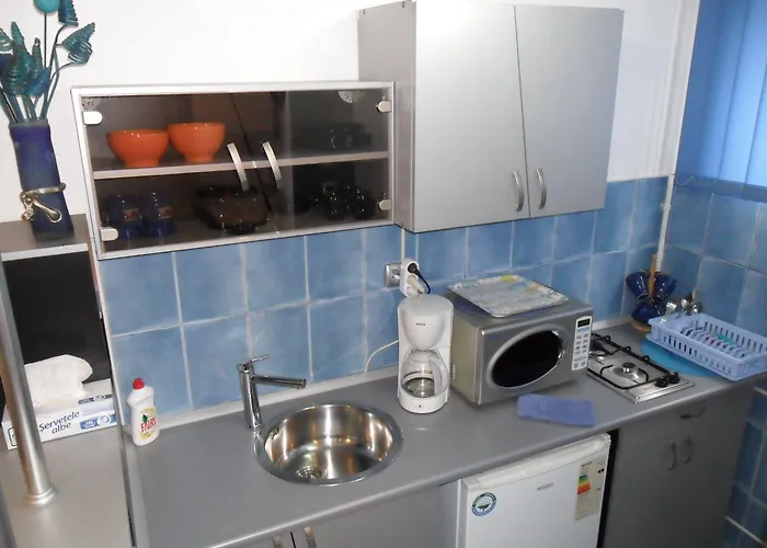 דירה Calea Victoriei בוקרשט