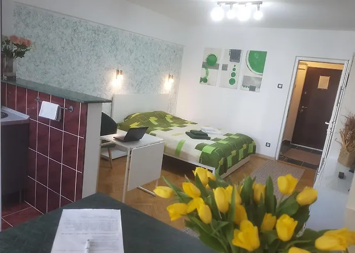 Calea Victoriei דירה