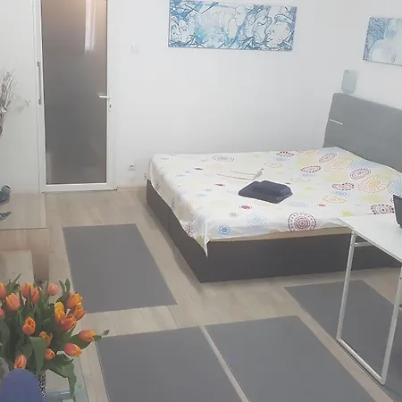 Calea Victoriei Apartman Bukarest